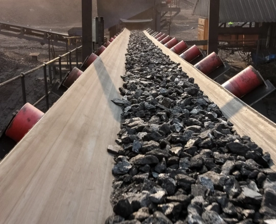 AdobeStock_409997633