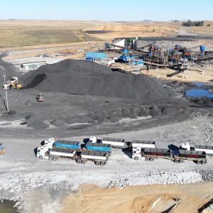 WhatsApp Image 2025-02-12 at 12.22.36