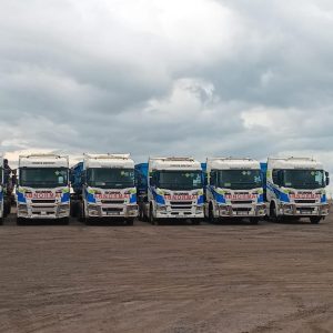 WhatsApp Image 2025-02-12 at 12.25.25